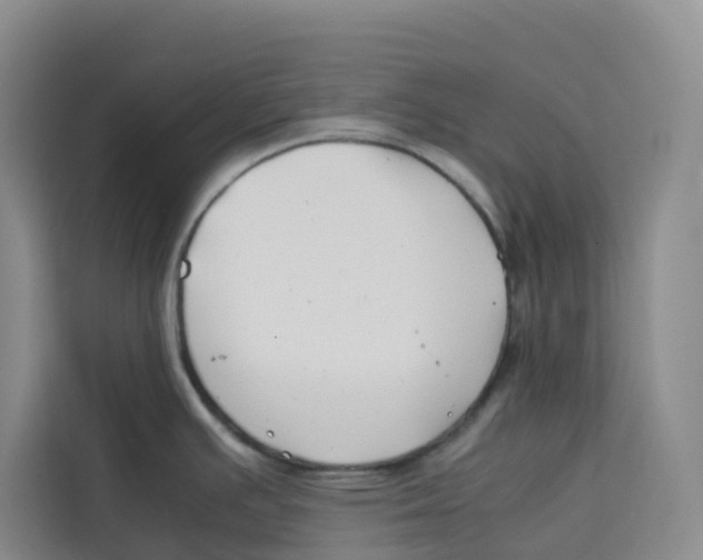 X0000113911391200910221325