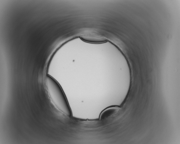 X0000113911392200910221325