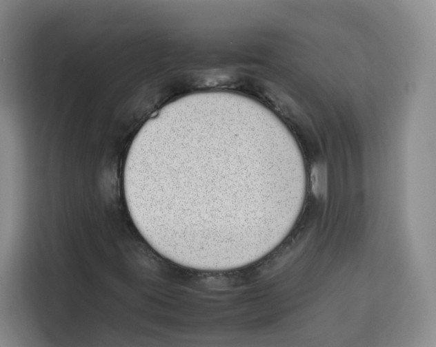 X0000113911395200910221324