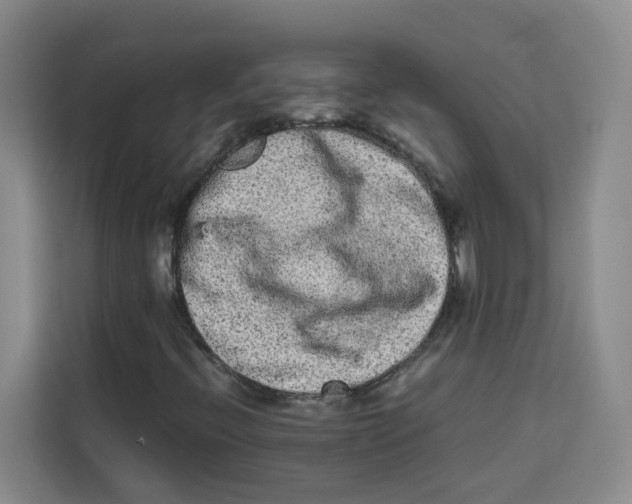 X0000113911396200910221324