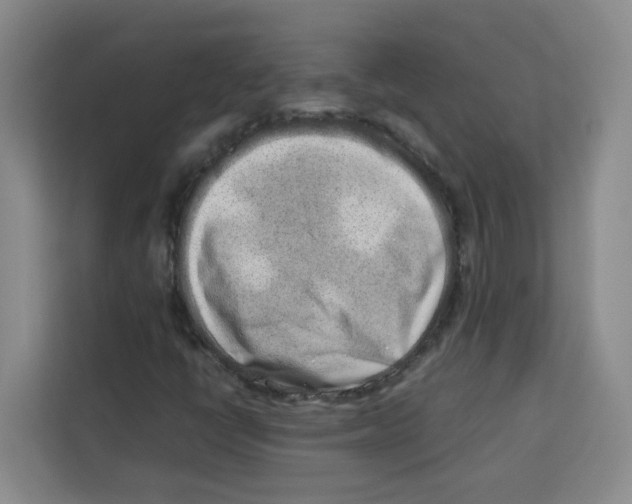 X0000113911398200910221324