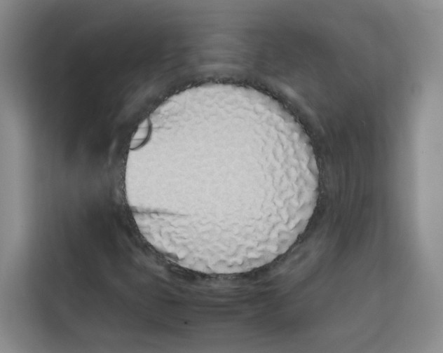 X0000113911399200910221324