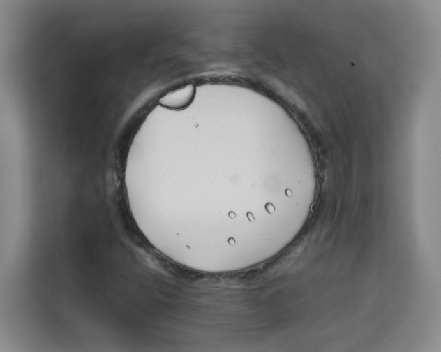 X0000113911400200910221324