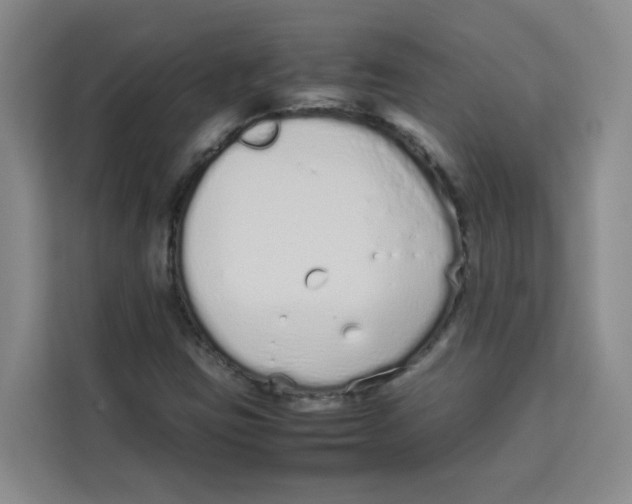 X0000113911403200910221324