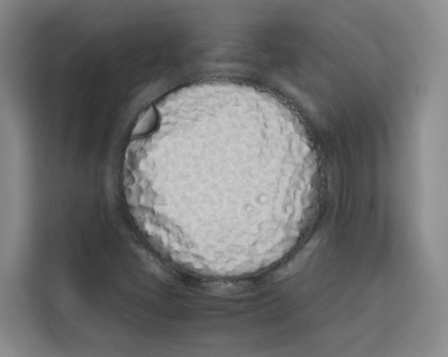 X0000113911405200910221324