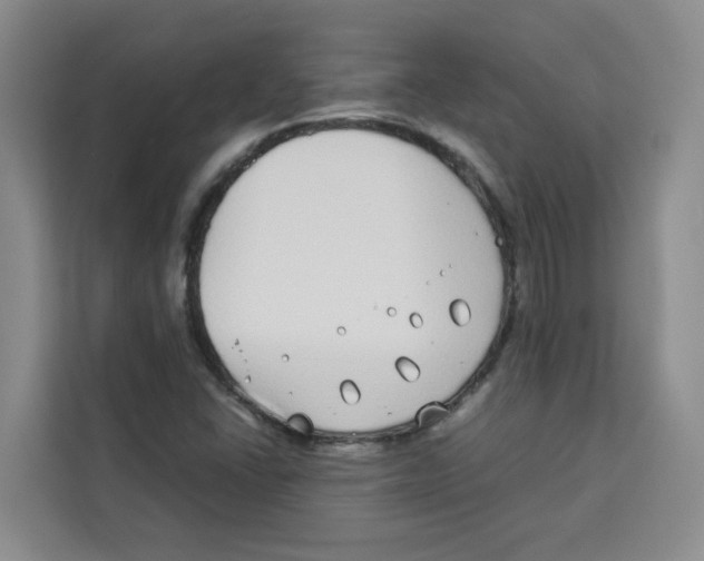 X0000113911406200910221324