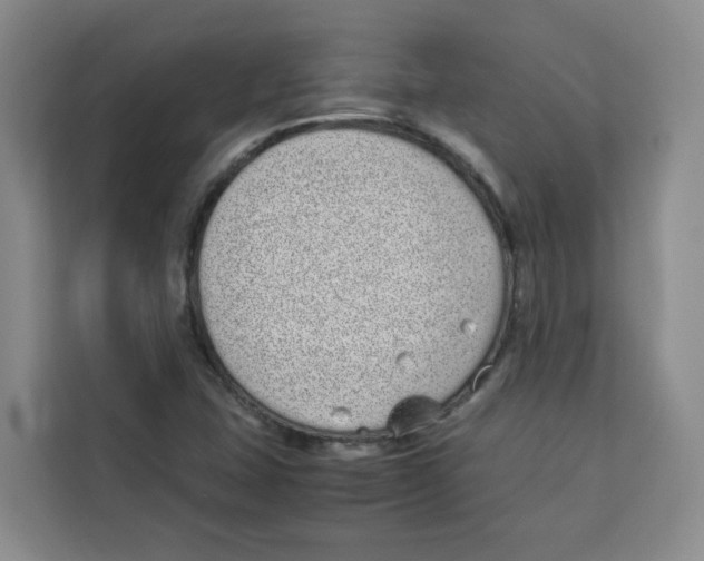 X0000113911407200910221324