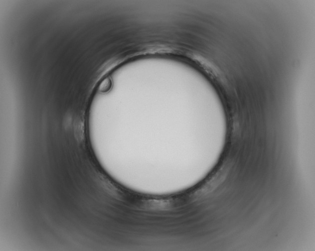 X0000113911409200910221324