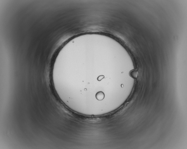 X0000113911410200910221324