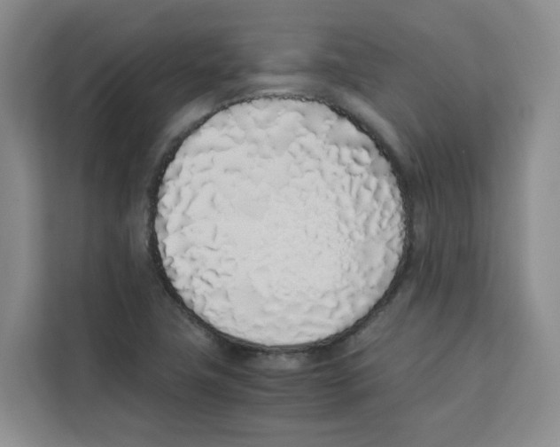 X0000113911411200910221324