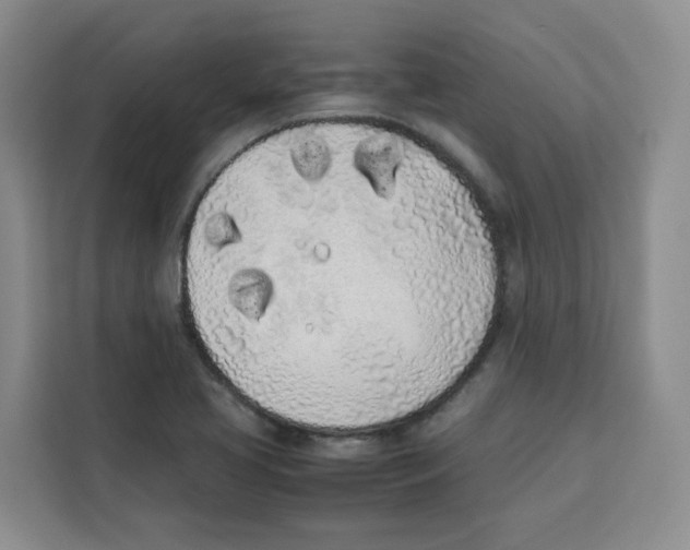 X0000113911413200910221324