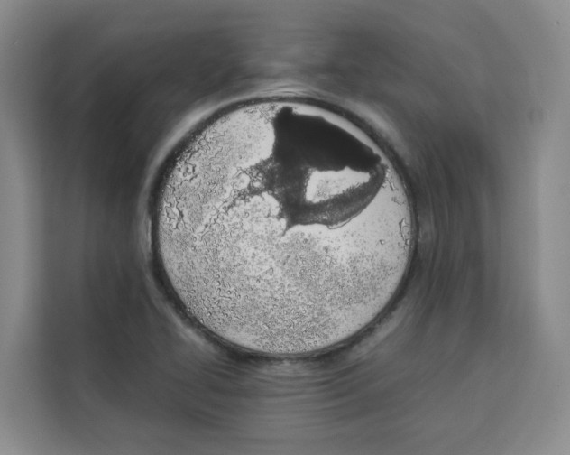 X0000113911414200910221324