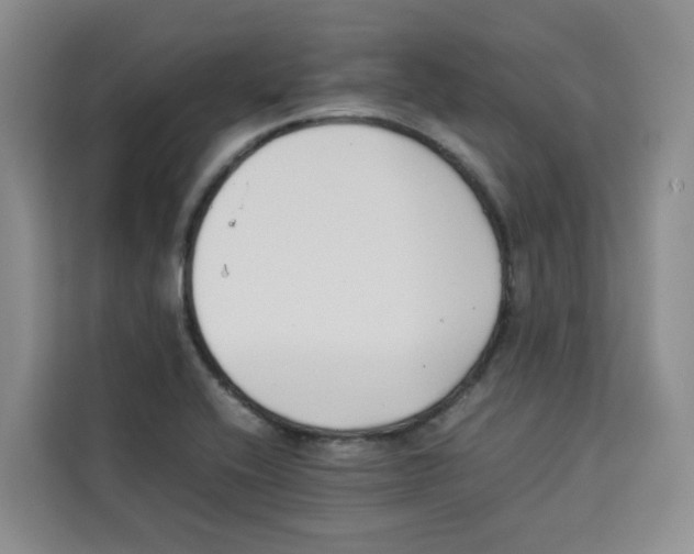 X0000113911416200910221324