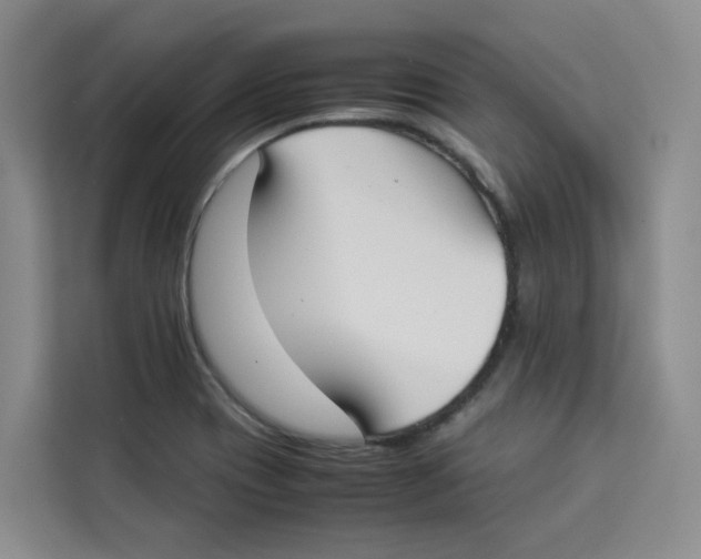 X0000113911417200910221324