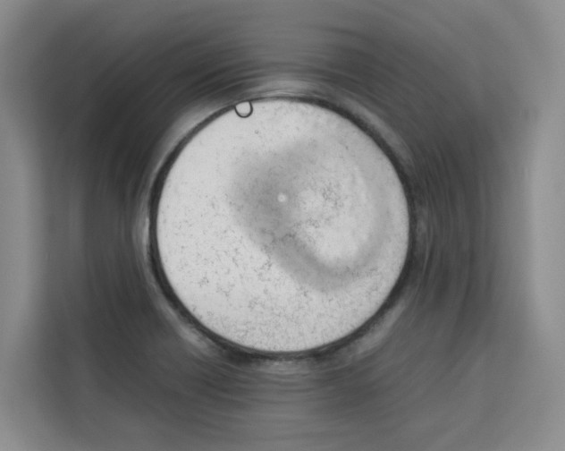 X0000113911418200910221324