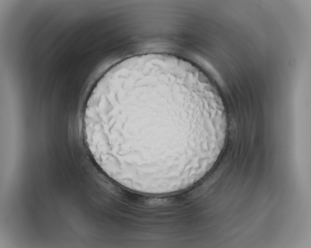 X0000113911419200910221324