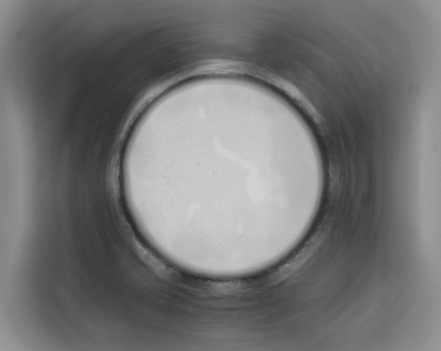 X0000113911421200910221324