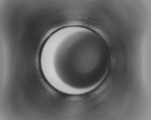 X0000113911422200910221324