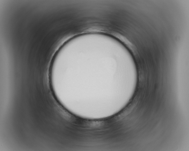 X0000113911423200910221324