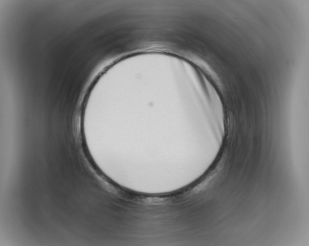 X0000113911424200910221324