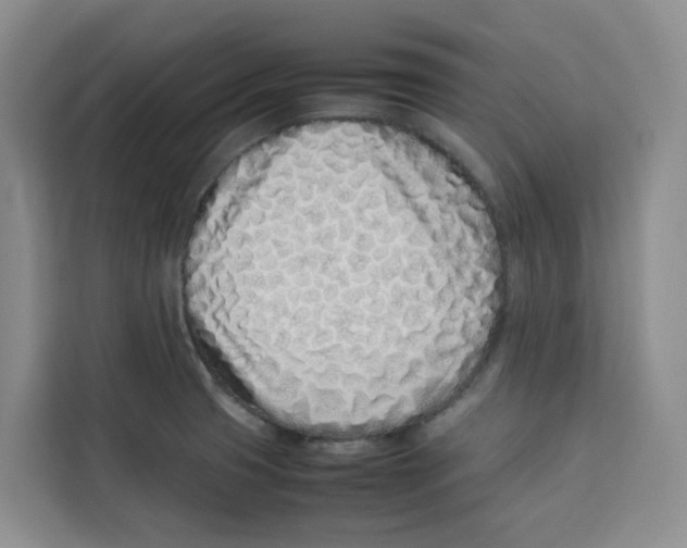 X0000113911425200910221324