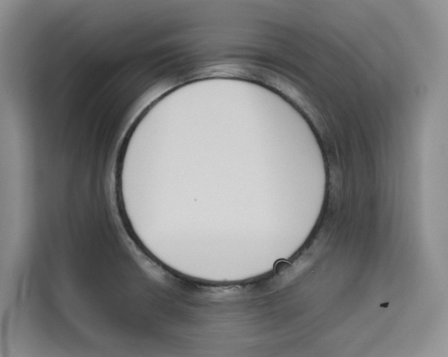 X0000113911426200910221324