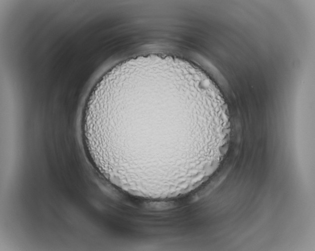 X0000113911427200910221324