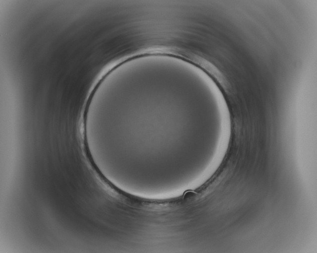 X0000113911428200910221324