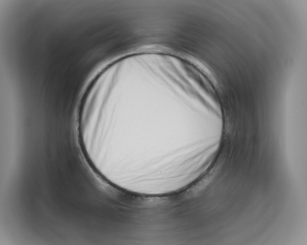 X0000113911430200910221324