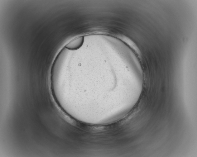 X0000113911431200910221324