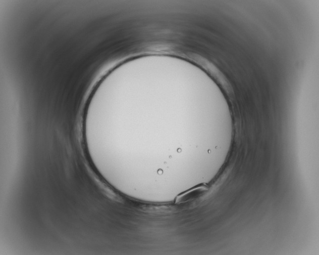 X0000113911432200910221324