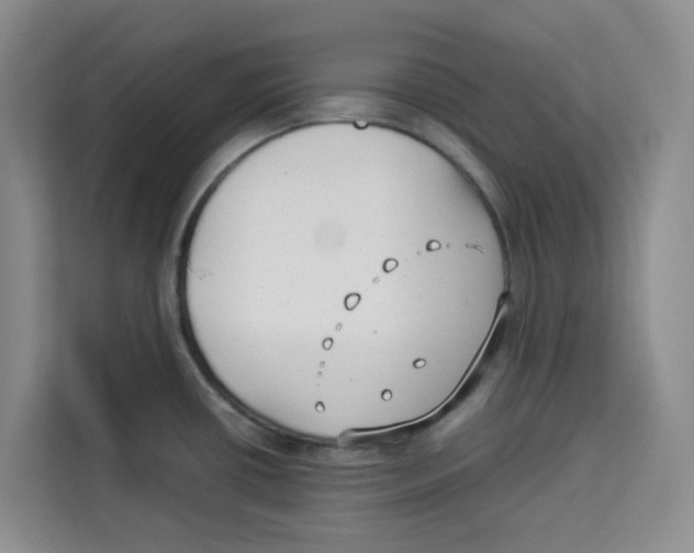 X0000113911434200910221324