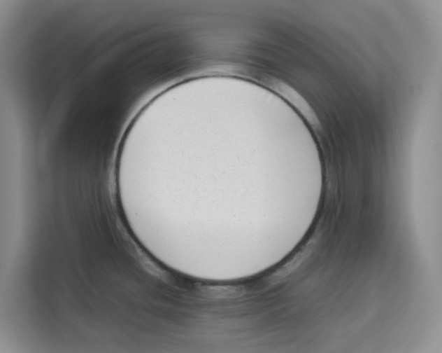 X0000113911436200910221324