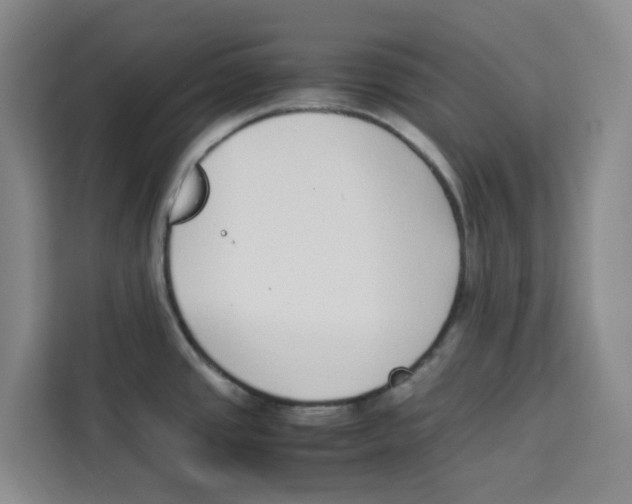 X0000113911437200910221324