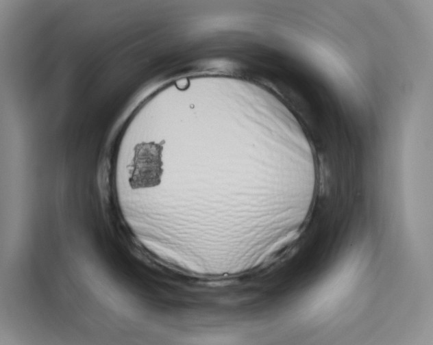 X0000113911438200910221324