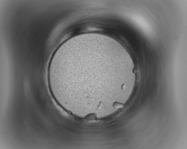 X0000113911439200910221324