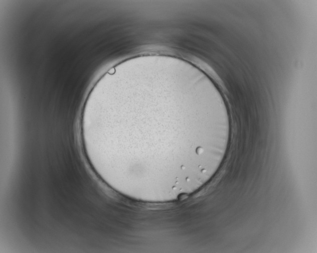 X0000113911440200910221324