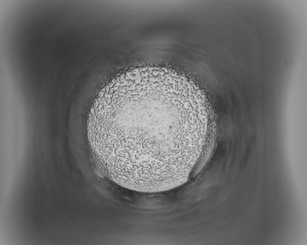 X0000113911441200910221324