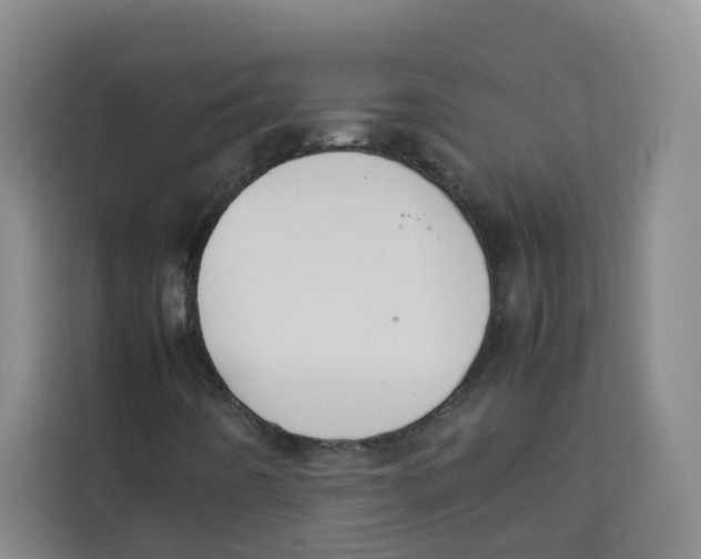 X0000113911442200910221324