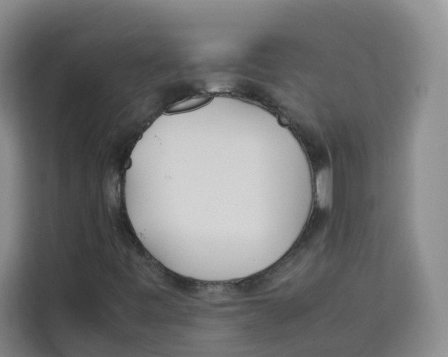 X0000113911443200910221324