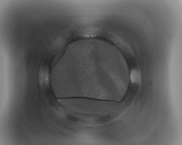 X0000113911444200910221324