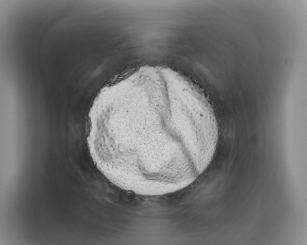 X0000113911445200910221324