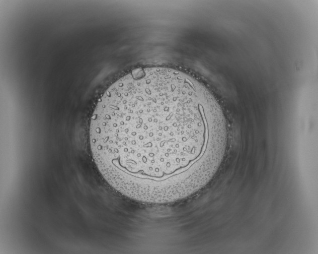 X0000113911446200910221324