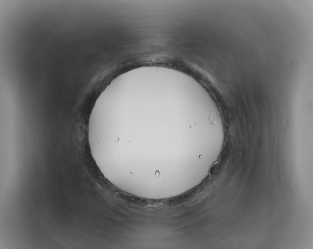 X0000113911447200910221324