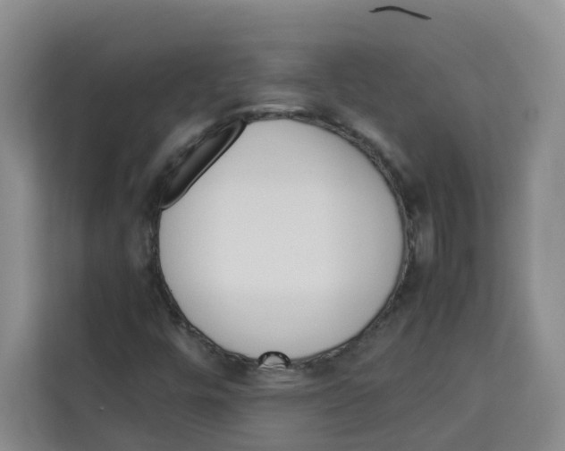 X0000113911448200910221324