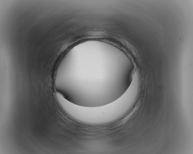 X0000113911449200910221324