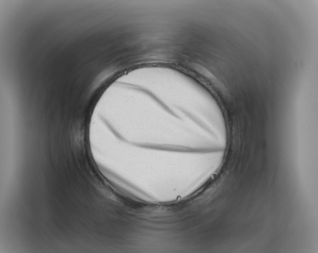 X0000113911450200910221324