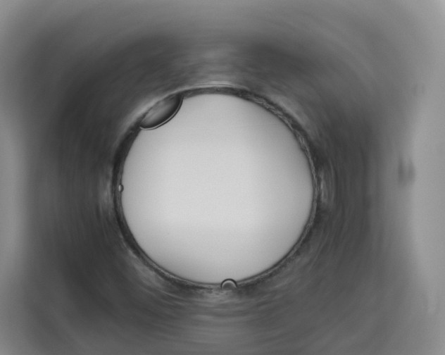 X0000113911452200910221324