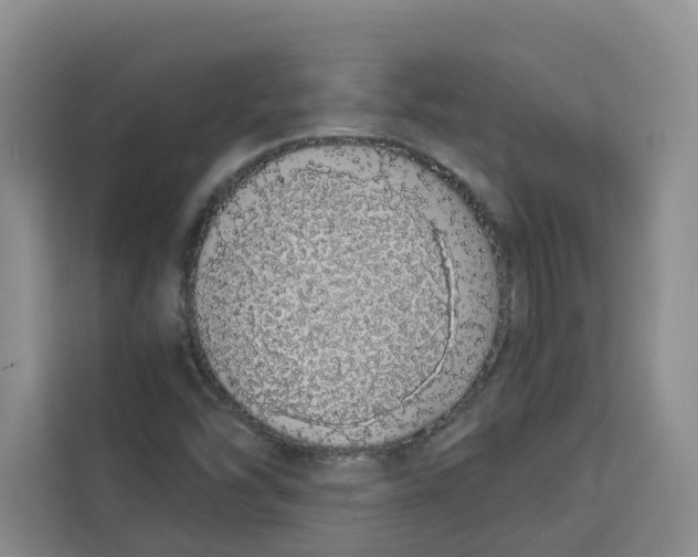 X0000113911454200910221324