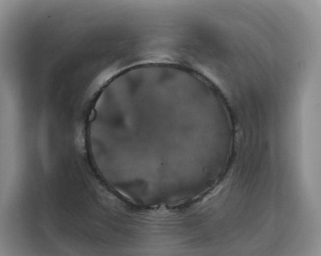 X0000113911455200910221324